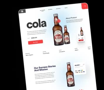 Portfolio showcase
