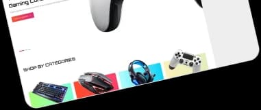 Portfolio showcase